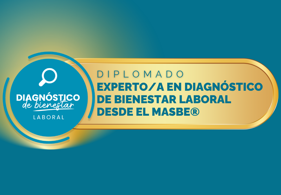Dip DBL 2 2026
