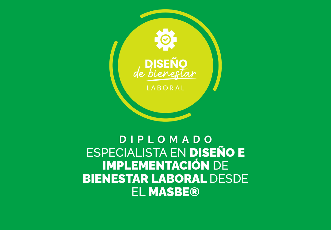 Dip Diseño
