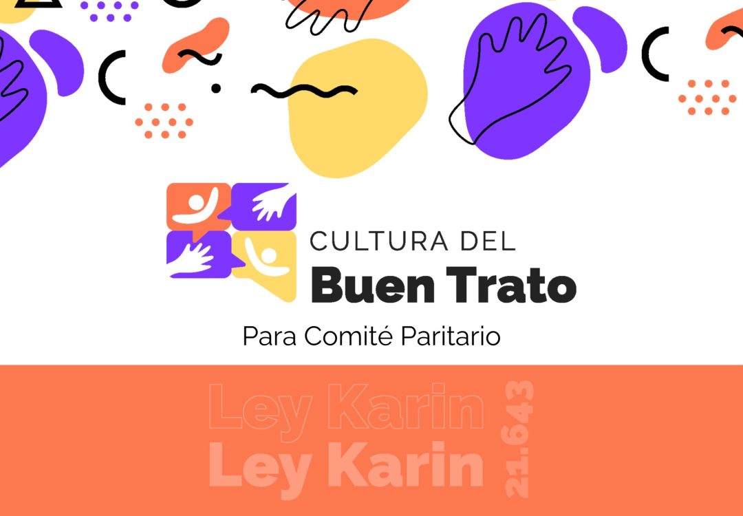 portada curso - comité paritario
